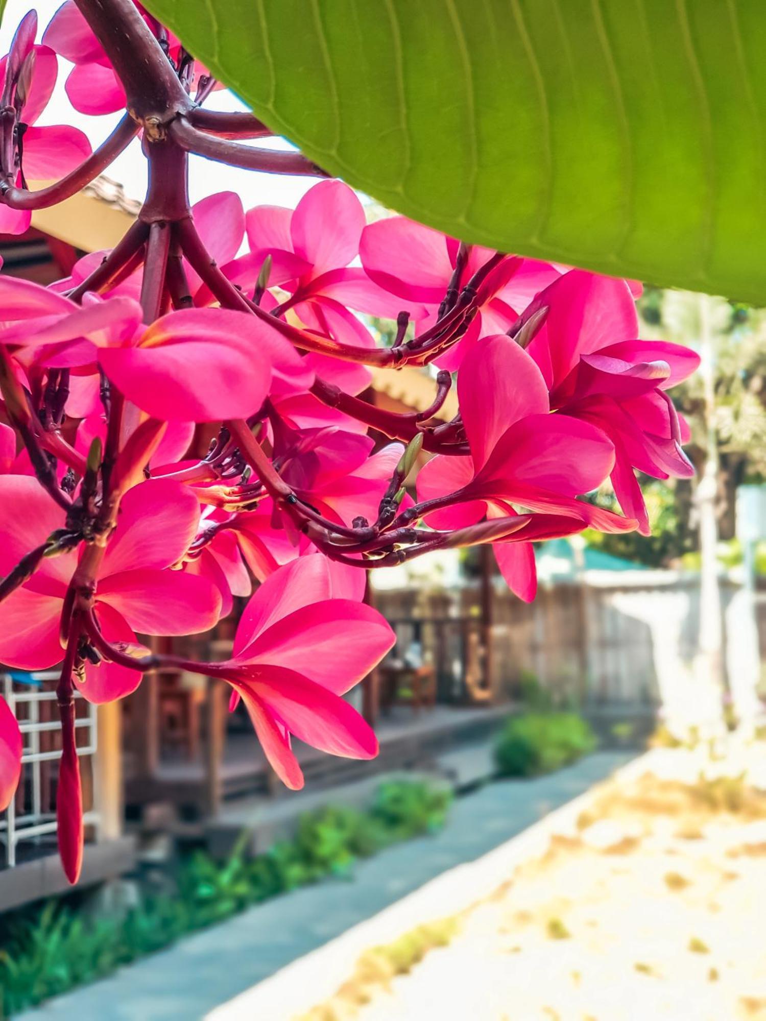 Leaf Coco Bungalow Gili Air Zewnętrze zdjęcie