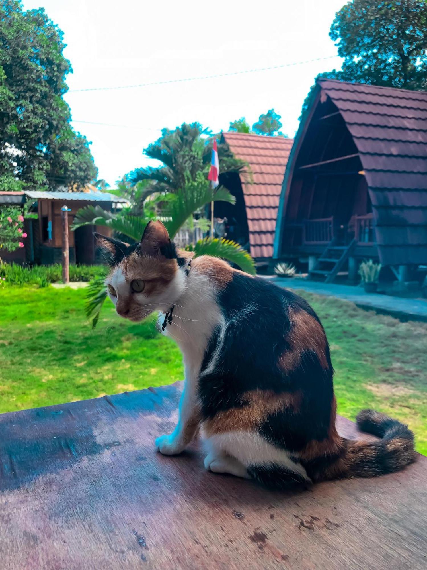 Leaf Coco Bungalow Gili Air Zewnętrze zdjęcie