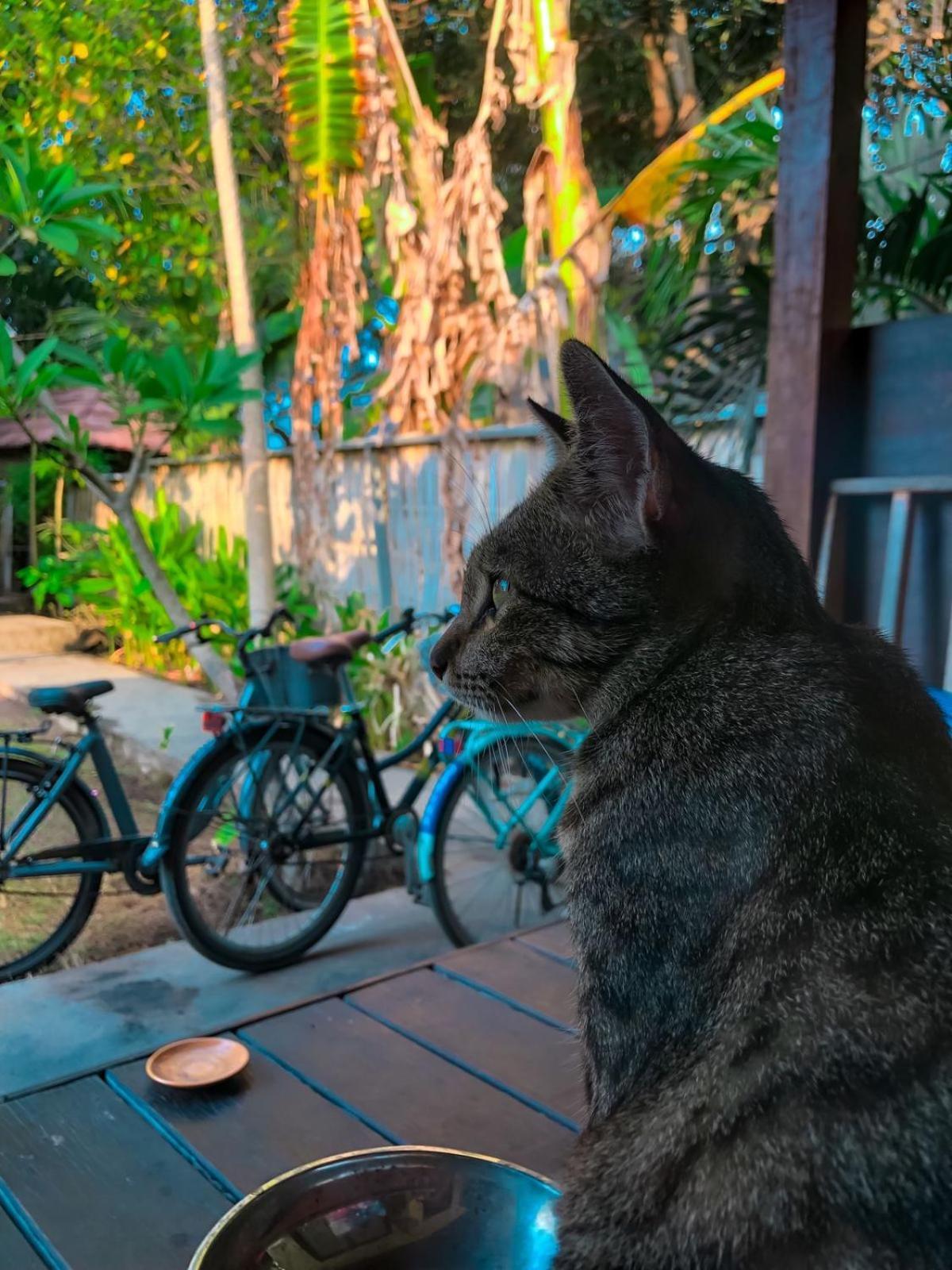 Leaf Coco Bungalow Gili Air Zewnętrze zdjęcie