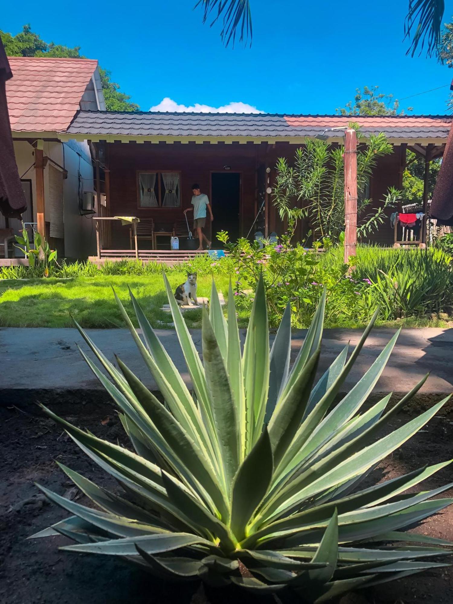 Leaf Coco Bungalow Gili Air Zewnętrze zdjęcie
